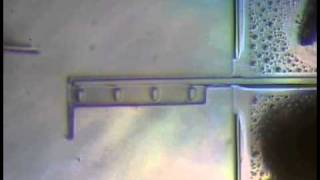 Thermal Actuator - 2