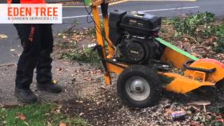Eden Tree & Garden Services