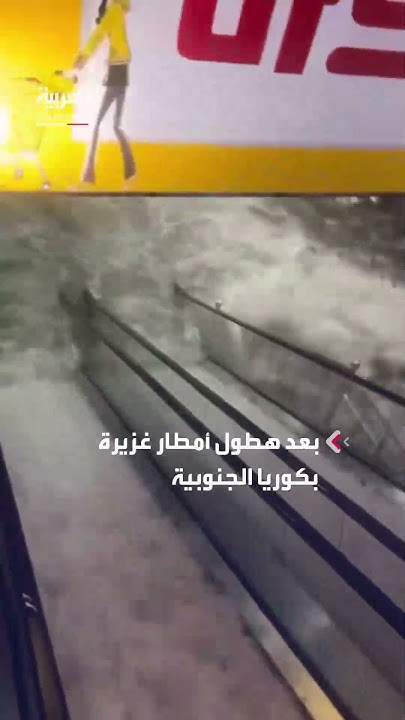      -  
 - نشر قبل 7 دقيقة