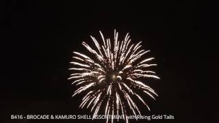 B416 - BROCADE & KAMURO SHELL ASSORTMENT with Rising Gold Tails