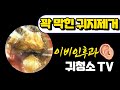 꽉 막힌 귀지제거 (ear wax removal)