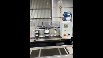 Avocado Packing Line with Vision Sorter and Automated Boxing!