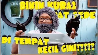 RAHASIA BIKIN KURA2 CEPAT GEDE