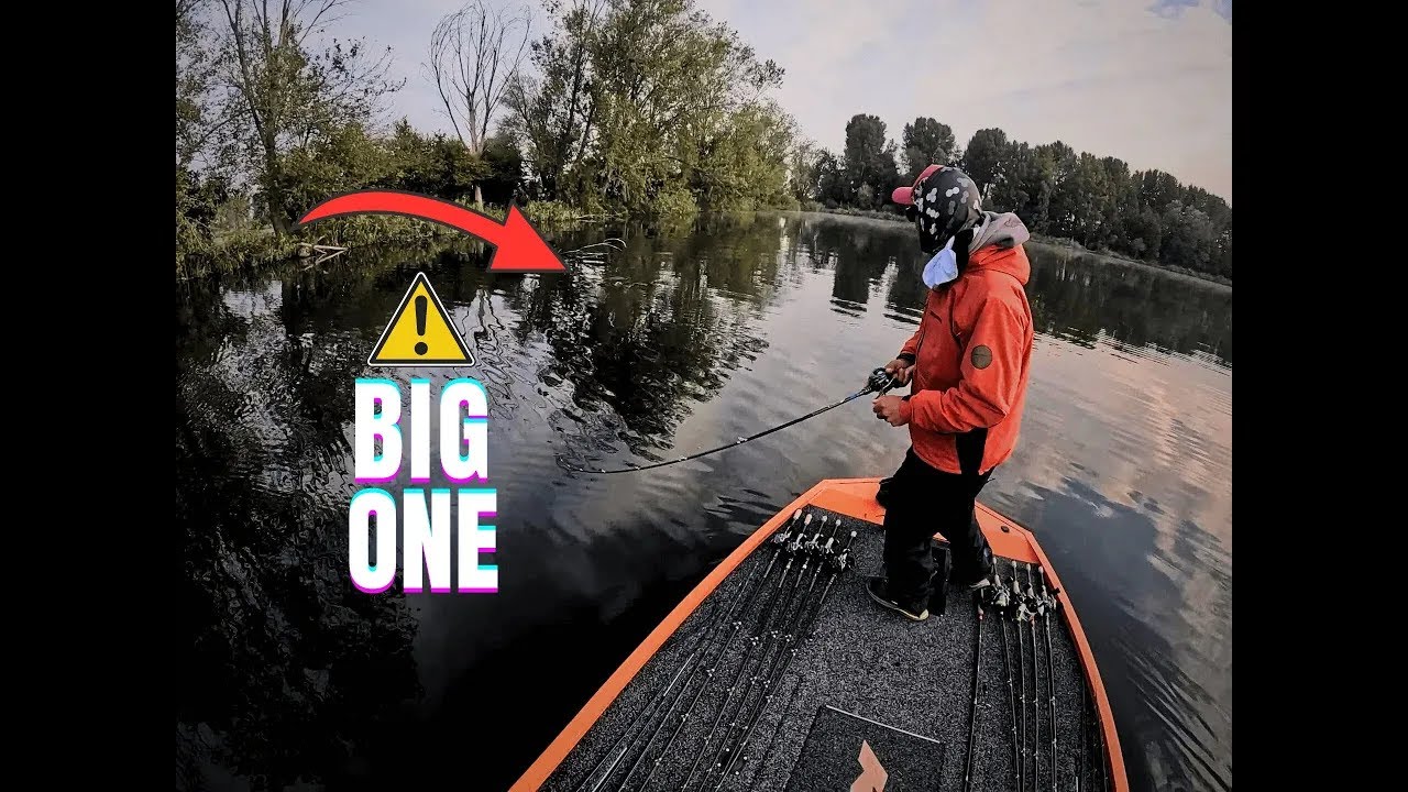 Consigli di BASS FISHING a MANTOVA con Giovanni Ceccarelli