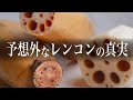 なにそれ！れんこんは〇〇から来た！？収穫も楽しい噂の野菜のご紹介