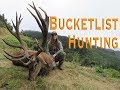 Nicole hunts red stags in new zealand bucket list hunt part 2