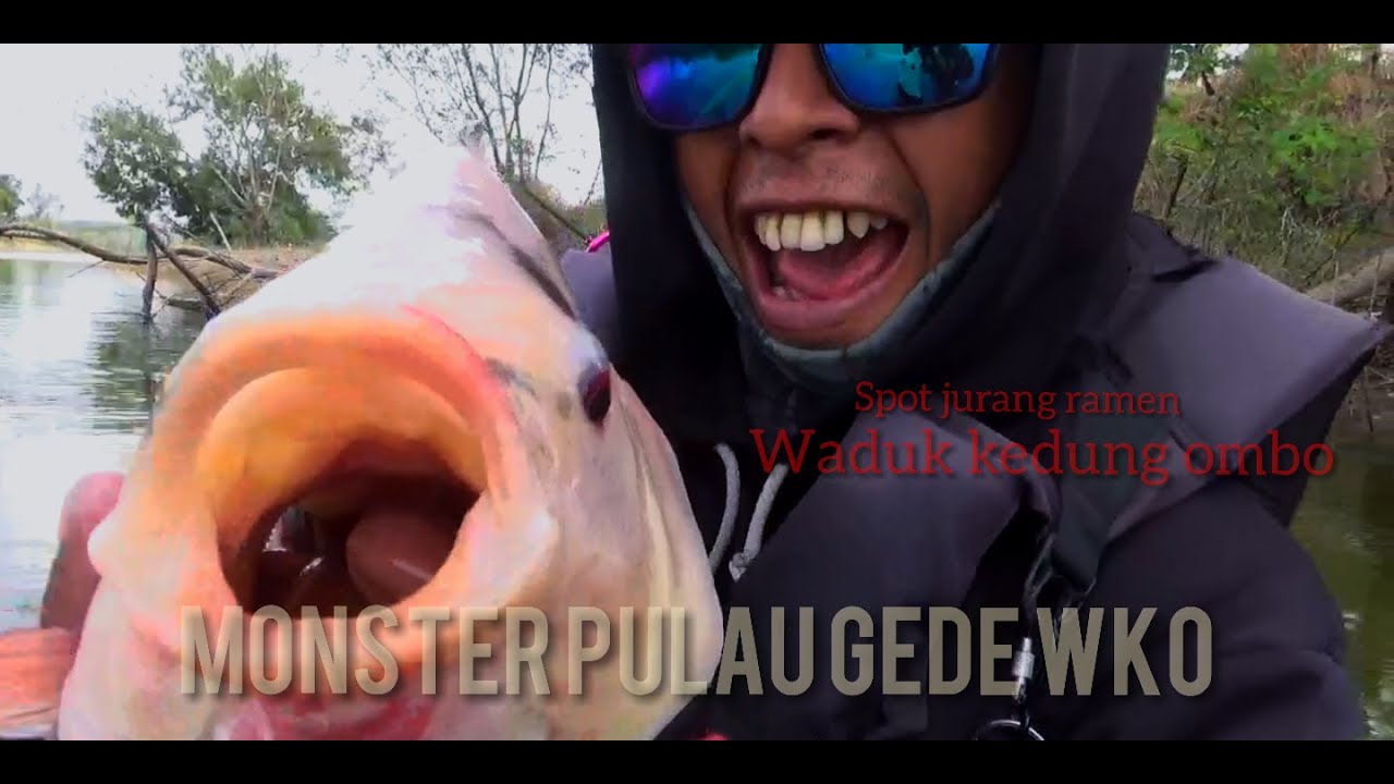 monster nila waduk kedung ombo mau di ajak pulang !!! #mancingnyobok