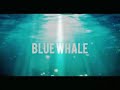 Blue whale theme song  all i want  fusion remix