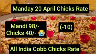 20 April Monday Chicks Rate (-10) 