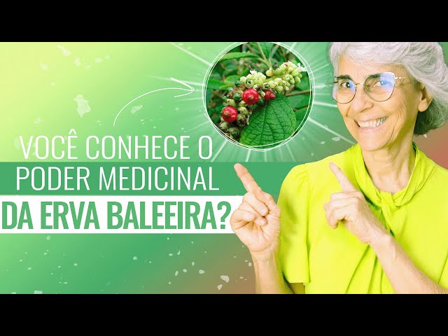 Já Conhece a Erva-Baleeira? - Amo Garopaba