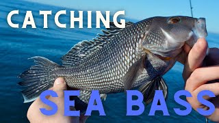 How To Catch Sea Bass | Adrian Avena Tips and Techniques