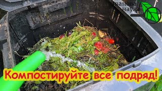 видео: НЕ СЫПЬТЕ В КОМПОСТ УДОБРЕНИЯ! Вот лучшая бесплатная ЗАЖИГАЛКА компоста. Компостируйте все подряд. картинка: НЕ СЫПЬТЕ В КОМПОСТ УДОБРЕНИЯ! Вот лучшая бесплатная ЗАЖИГАЛКА компоста. Компостируйте все подряд.