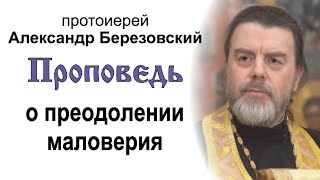 Проповедь о преодолении маловерия (2024.03.01). Протоиерей Александр Березовский
