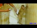 Smart Monkey Kako Taking Bath And Brushing Teeth