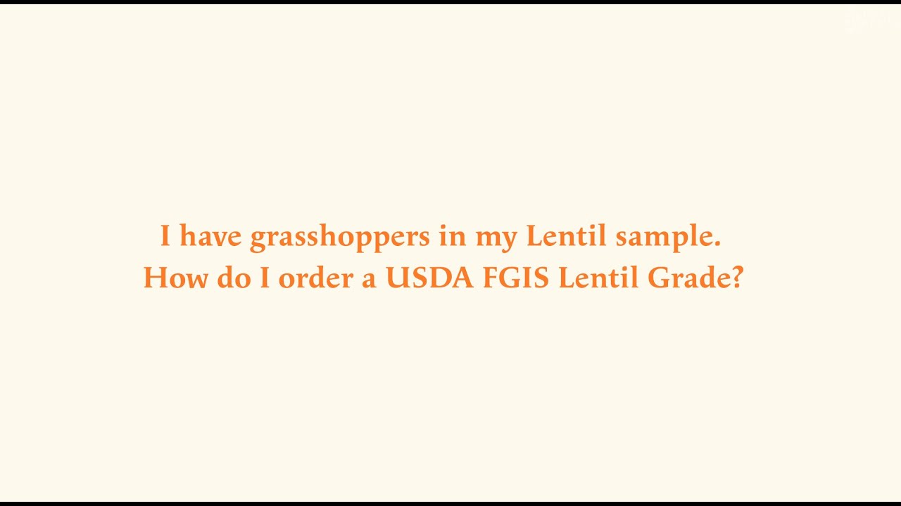 Pulse Crop Grasshopper Grade Considerations for Producers