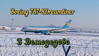 Боинги 787 дримлайнер в Домодедово.Январь - февраль 2024.