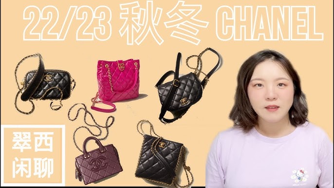 CHANEL FALL-WINTER 2022/23 PRE-COLLECTION - CHANEL HANDBAGS 