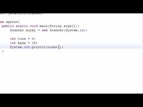 Java Programming Tutorial 9 Increment Operators