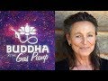 Annette Kaiser - Buddha at the Gas Pump Interview