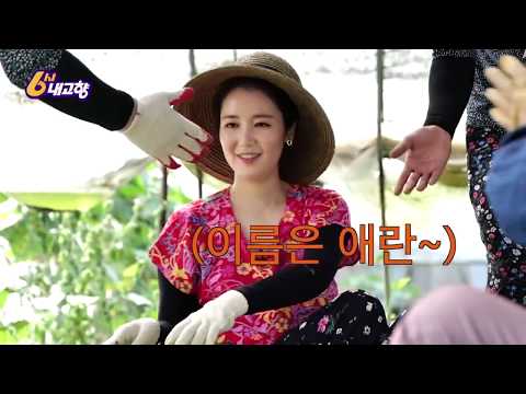 6시 내고향, 트로트 농활 원정대 네박자_4부 예고