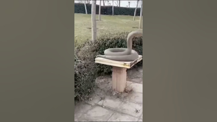 Cute snake statue 😋😊 #cute #jumpscare #snake