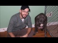 Tucson / Flagstaff / Phoenix Dog Trainers Tucson / Flagstaff / Phoenix Dog Trainers