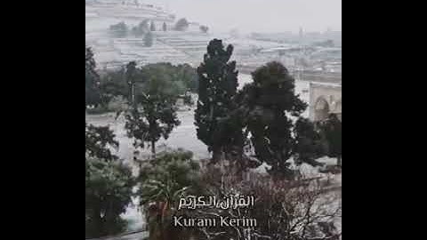قرآن بصوت اسلام صبحي - تلاوة هادئة وصوت جميل | Güzel Sesli Kuran | المسجد الاقصى