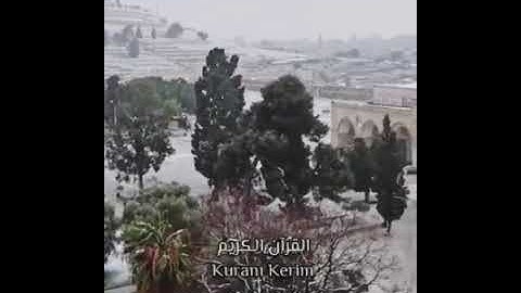 قرآن بصوت اسلام صبحي - تلاوة هادئة وصوت جميل | Güzel Sesli Kuran | المسجد الاقصى
