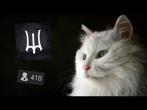 Kitten Game