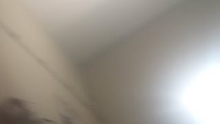 Konya Oyun Havaları