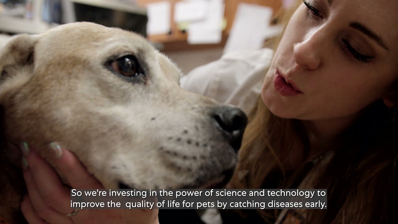 The Mars Petcare Science Engine