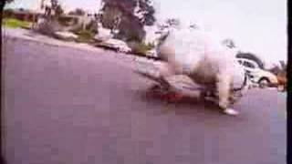 Celebrity Lance Mountain and his English Bulldog Skateboard crook! Net Worth