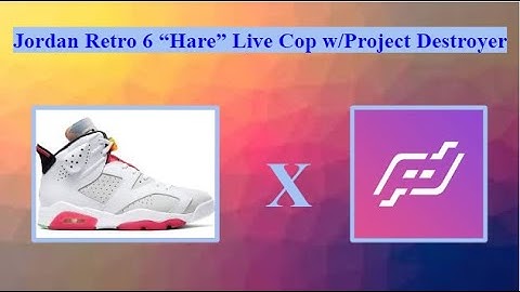 Jordan Retro 6 "Hare" Live Cop - Project Destroyer (PD)