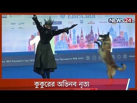 ভিডিও: কুকুরের জন্য ভ্যালরিয়ান রুট: এটি কি কাজ করে?