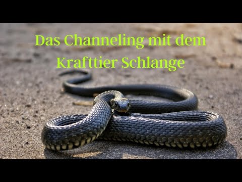 Video: Die Psychologie Des Einflusses. Zauberer Einer Schlange