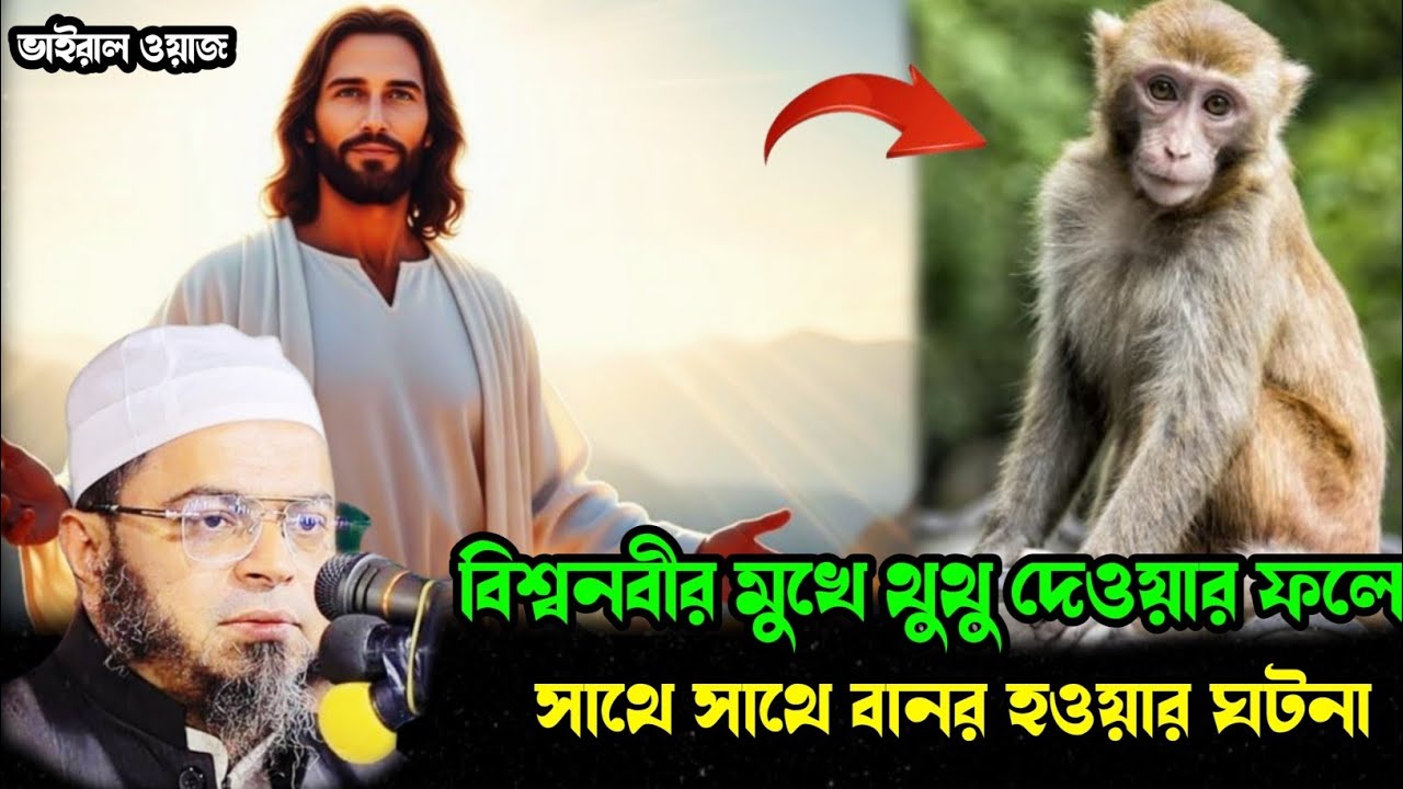 বিশ্ব নবীর মুখের থুতু দেওয়ার ফলে বানর হওয়ার ঘটনা। মুফতি নাসির উদ্দিন আনসারী। MAISHA TV bangla waz 