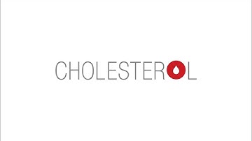 What is cholesterol?