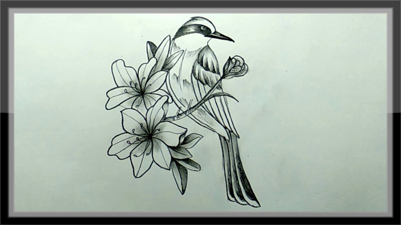 Featured image of post Cute Drawing Pencil Bird / About 0% of these are sculptures.