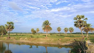 প্রকৃতি সৌন্দর্য নিয়ে একটি সুন্দর গান,