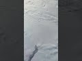 Amazing View of Antarctica