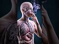 1 Cigarette Ke Baad Body Mein Kya Hota Hai? 🚬😨