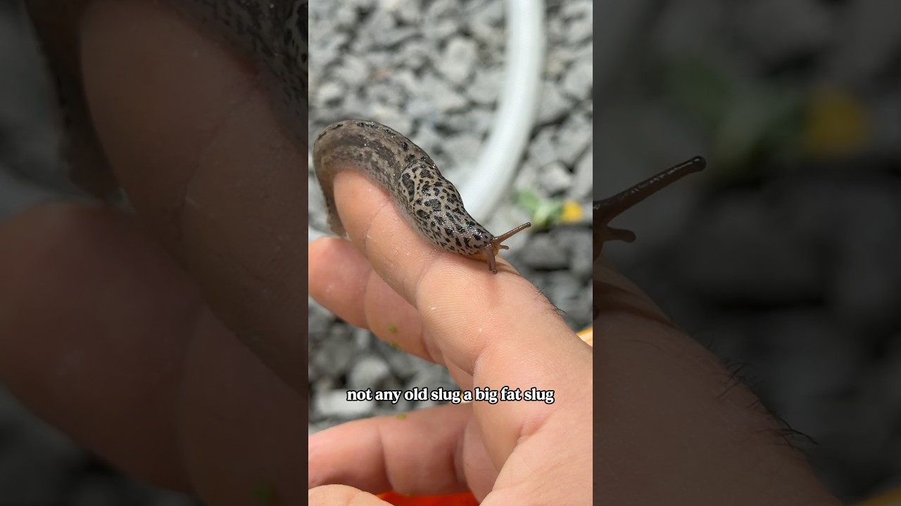 WHAT did I find in my greenhouse?