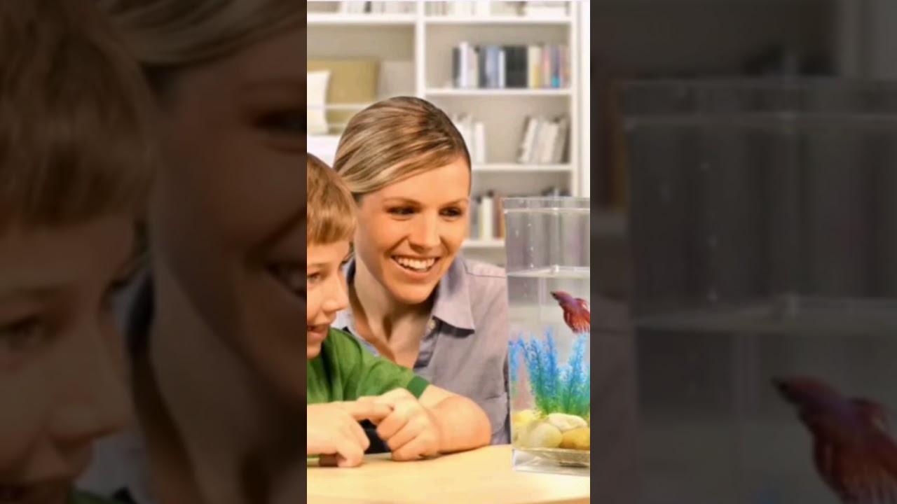 Самоочисний акваріум для рибок «My Fun Fish» ціна 350грн 