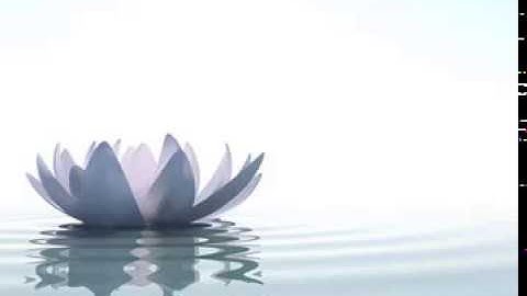 [WARNING EAR RAPE] chill study/relax/good-vibes/sleeping/calming/gaming music