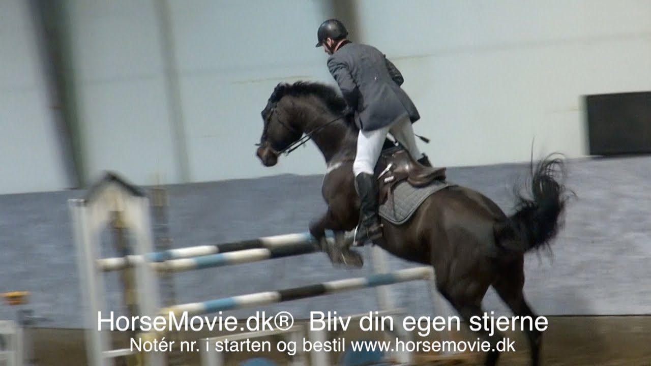 HorseMovie.dk Spring HEST #6 - YouTube
