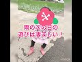 雨の日の遊びは凄まじい！