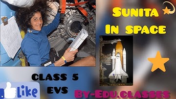 Class 5 EVS Ch 11 Sunita in Space Activity by students