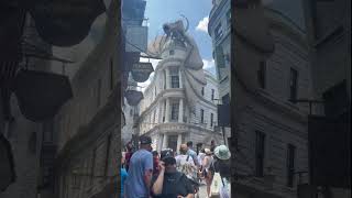 Bird Escapes Being Fried By Fire-Breathing Dragon At Harry Potter In Universal Studios Orlando