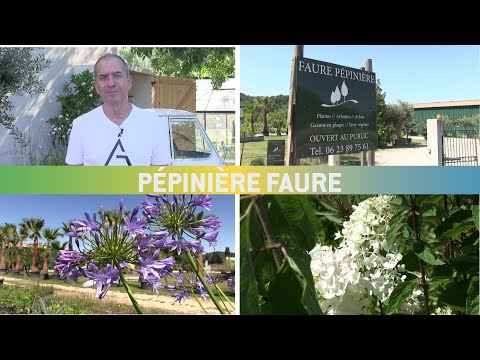 BOUC TV // PEPINIERE FAURE // J'AIME MON COMMERCE