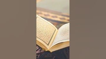 سورة المسد الشيخ ماهر المعيقلي